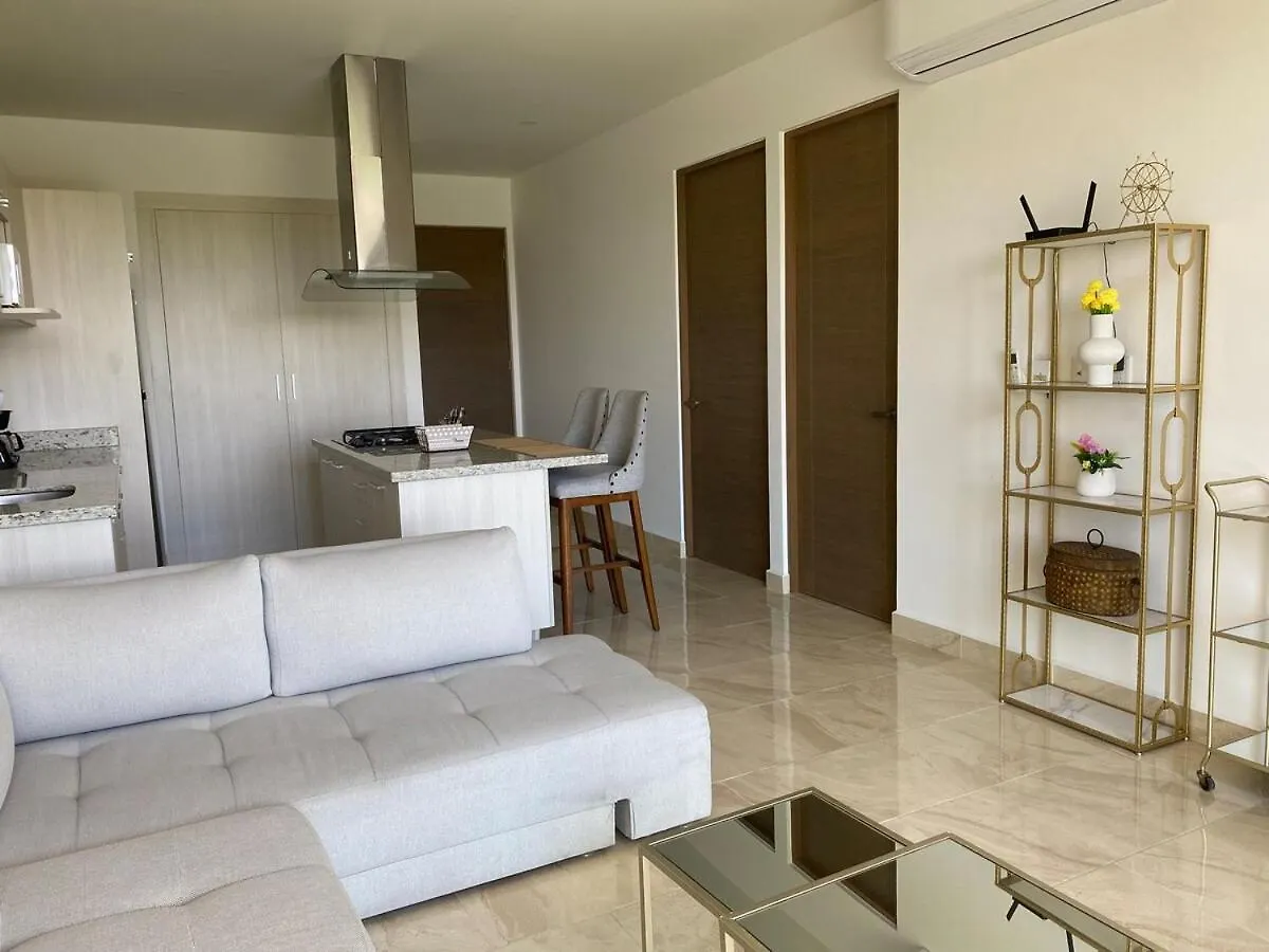 Luxury Apartment In Playa Del Carmen Mexico