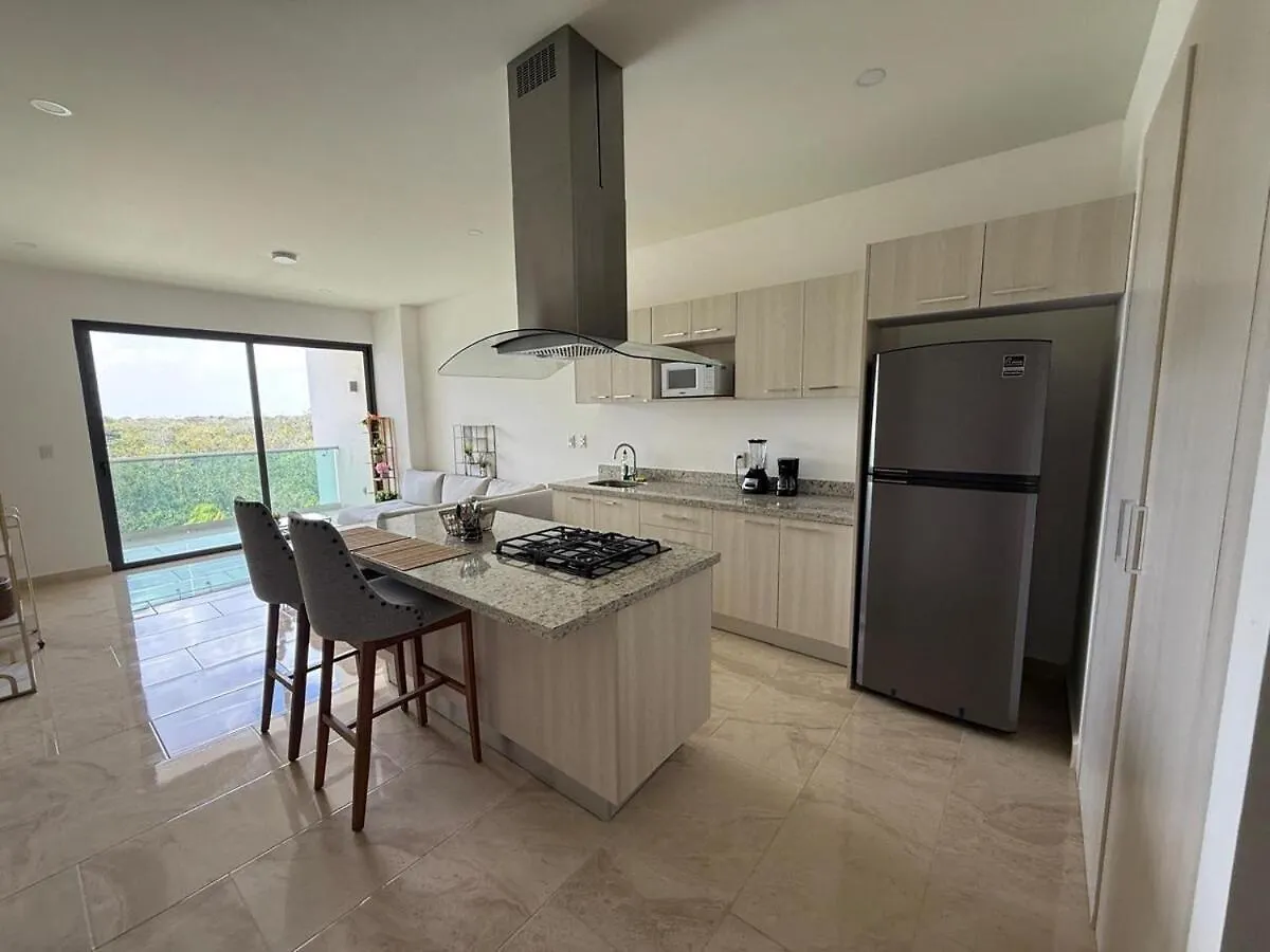 Luxury Apartment In Playa Del Carmen Mexico